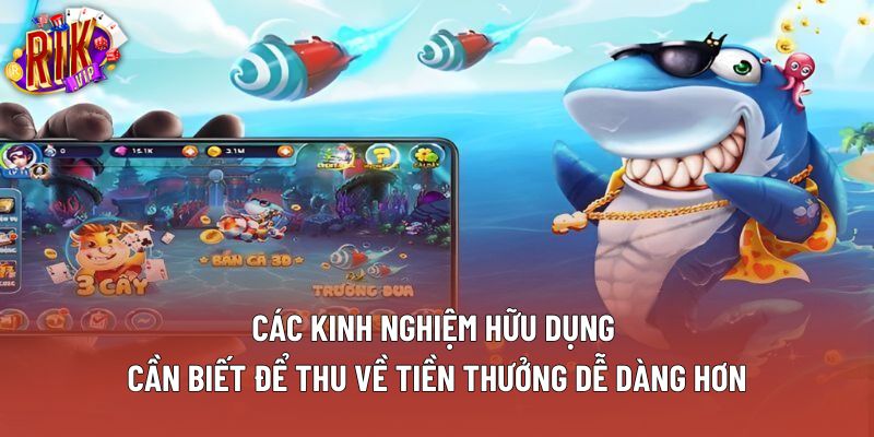 Các kinh nghiệm hữu dụng cần biết để thu về tiền thưởng dễ dàng hơn