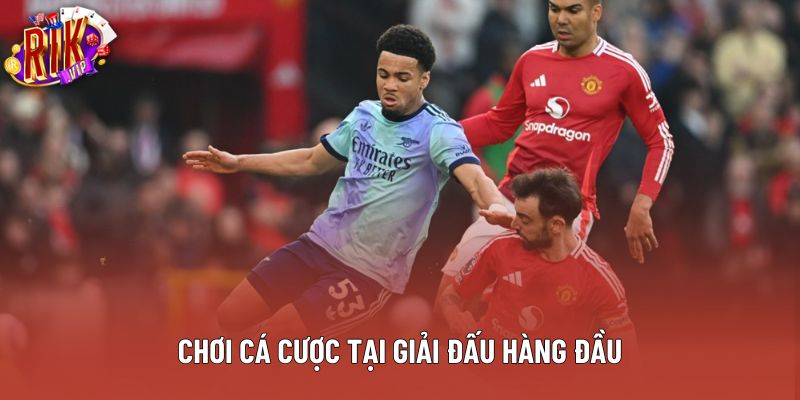 Chơi cá cược tại giải đấu hàng đầu