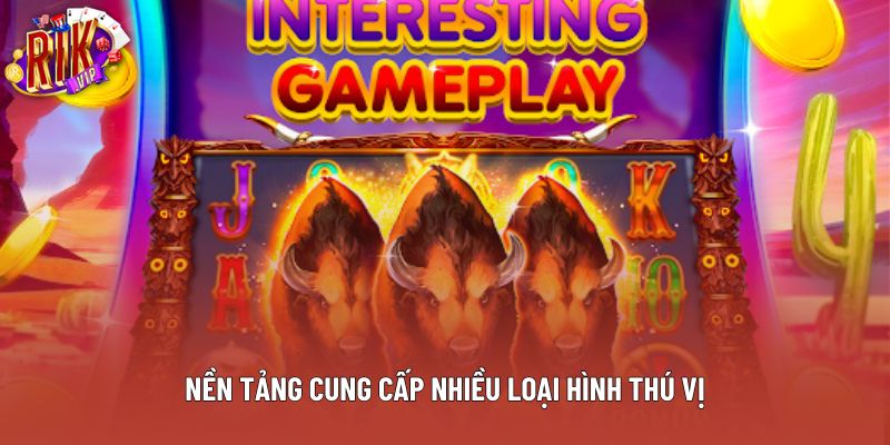 Nền tảng cung cấp nhiều loại hình thú vị